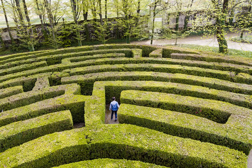 maze